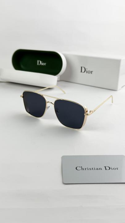 Christian Dior Sunglass