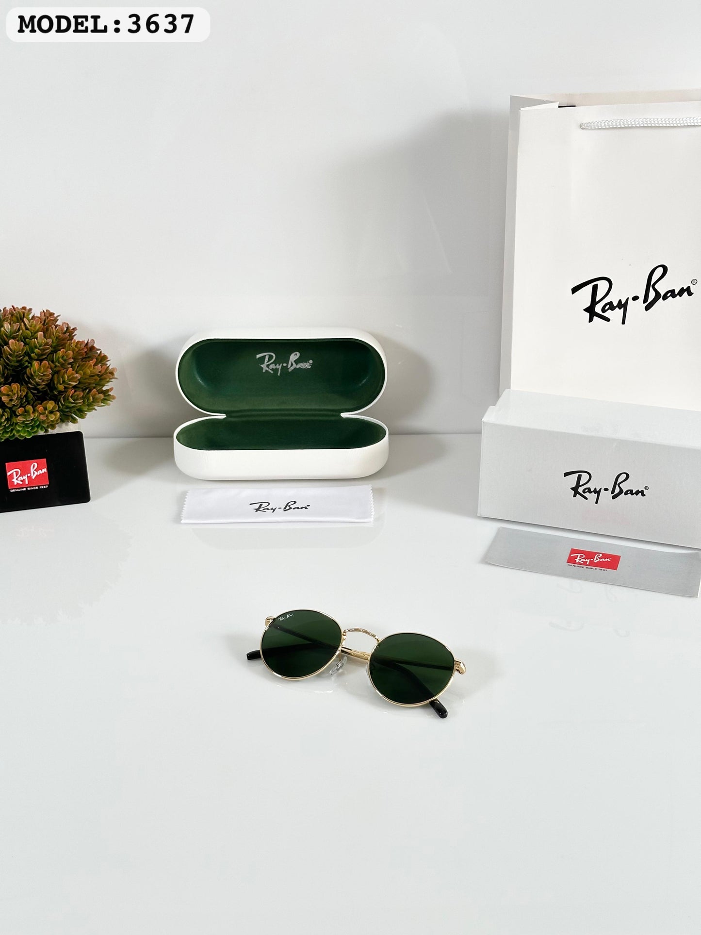 Rayban Sunglass