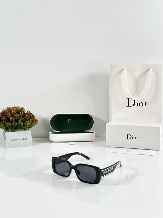 Christian Dior Sunglass