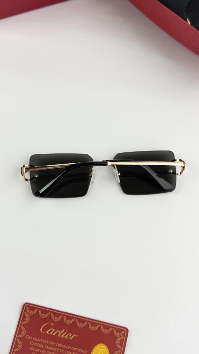 Cartier Sunglass