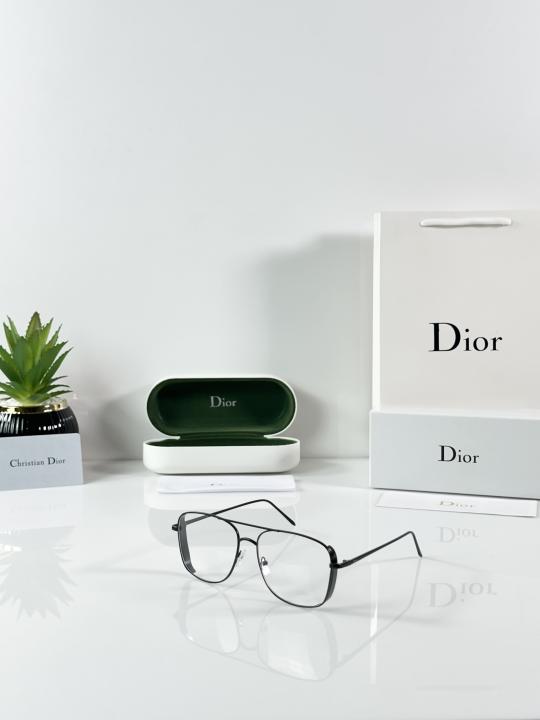 Christian Dior Frame Sunglass