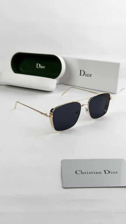 Christian Dior Sunglass