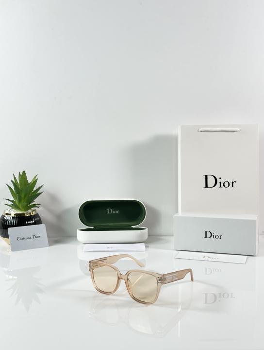 Christian Dior Sunglass