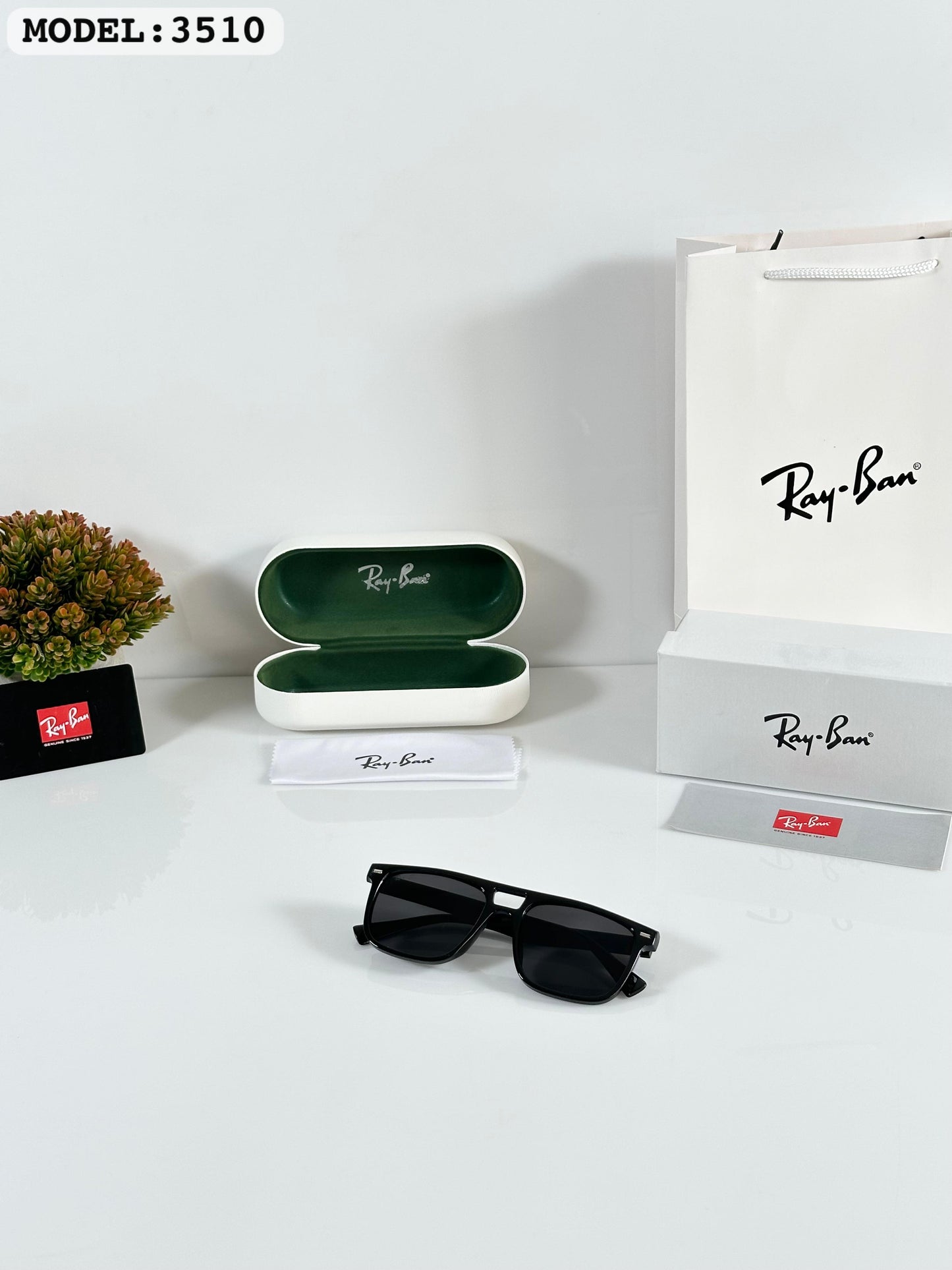 Rayban Sunglass