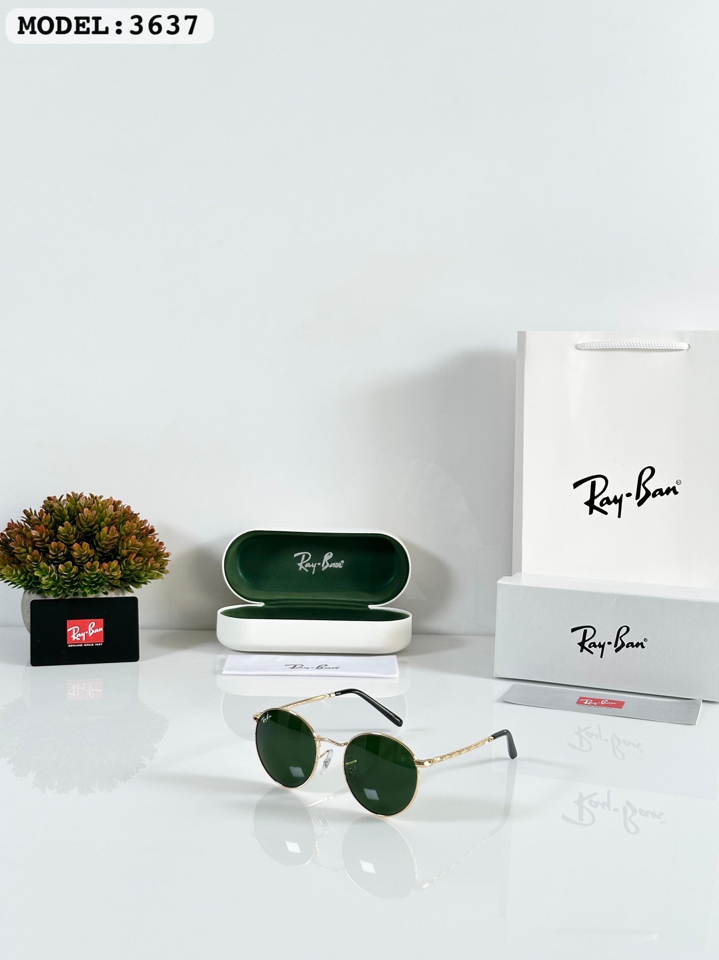 Rayban Sunglass