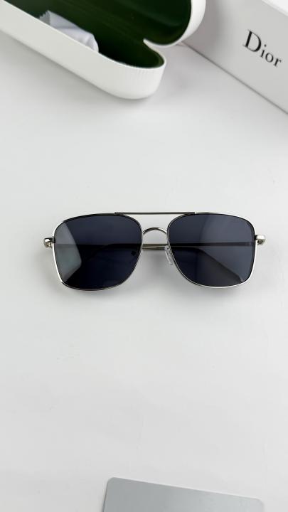 Christian Dior Sunglass