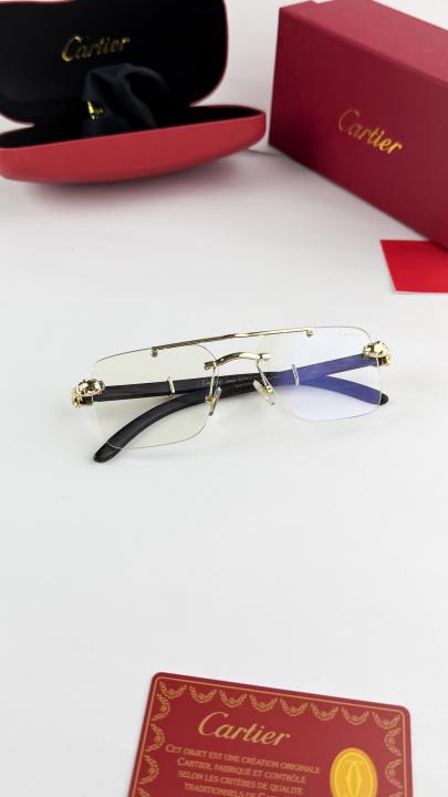 Cartier Frame Sunglass