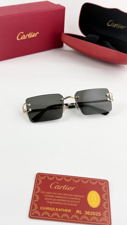 Cartier Sunglass