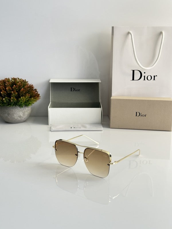 Christian Dior Sunglass