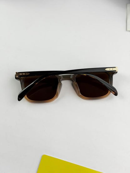 Moscot Sunglass