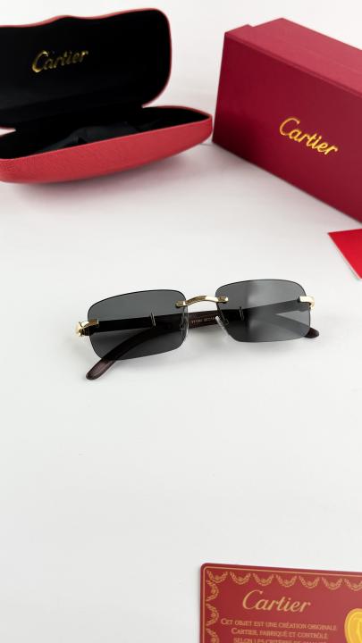 Cartier Sunglass